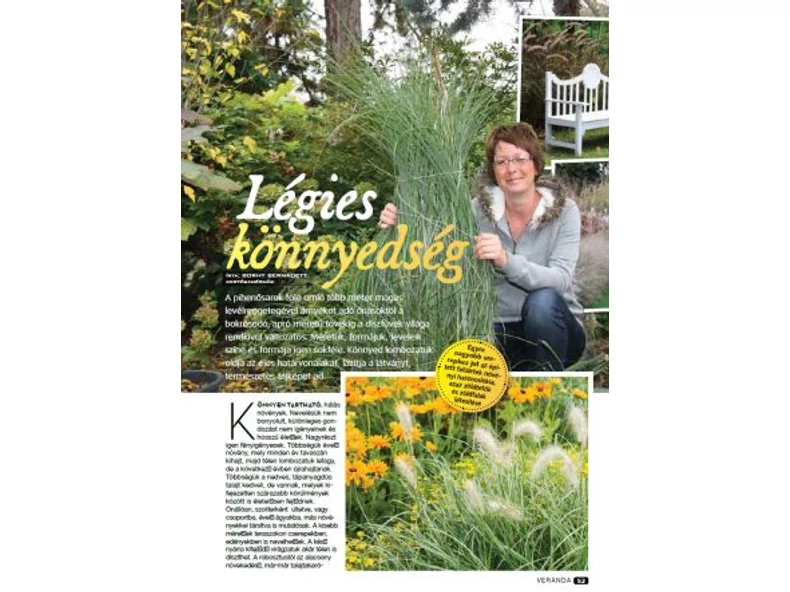 Légies könnyedség - Díszfűvek - Veranda Magazin