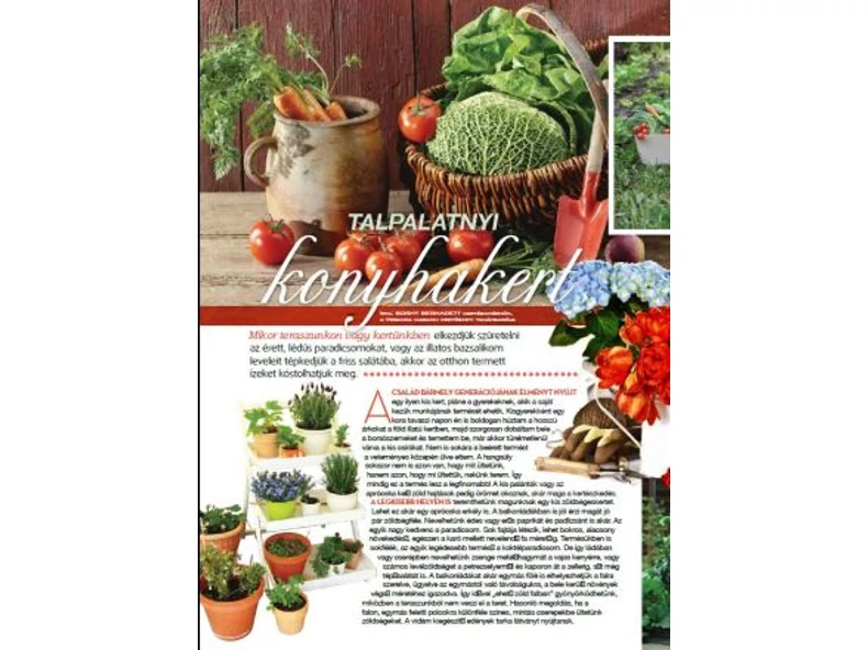 Talpalatnyi konyhakert - Veranda Magazin