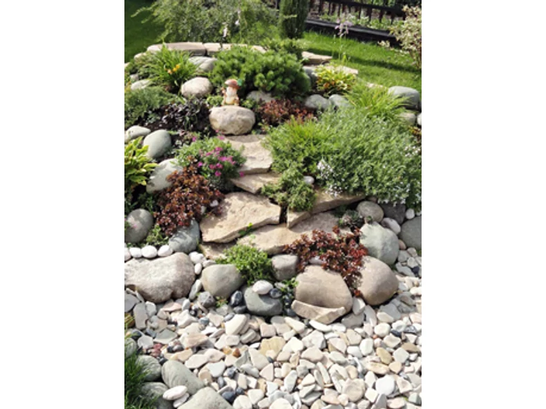 Növények és kövek - Veranda Magazin