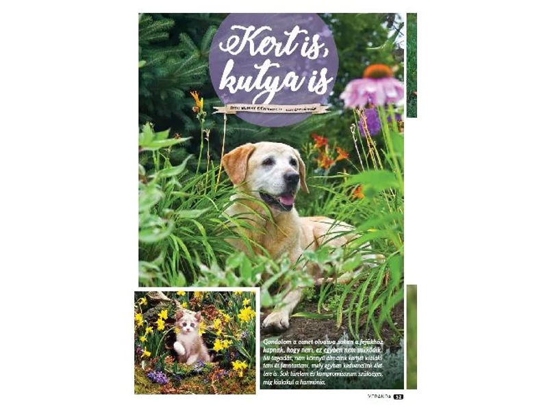 Kert is, kutya is - Veranda Magazin