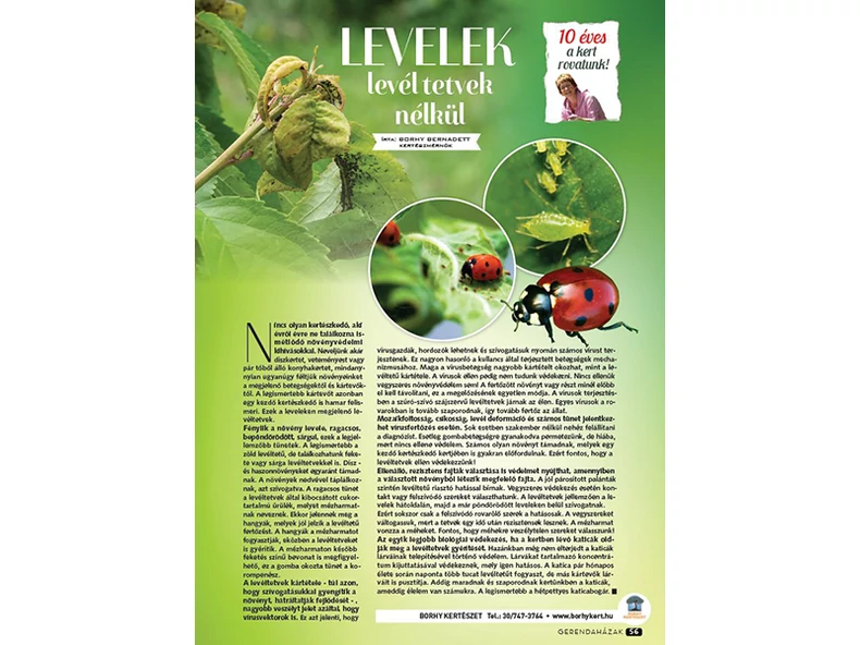 Levelek levéltetvek nélkül - Gerendaházak Magazin