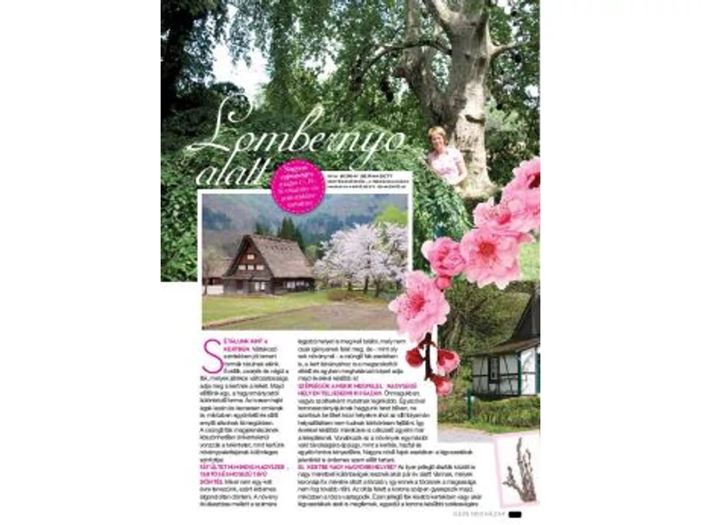 Lomb ernyő alatt – Gerendaházak Magazin