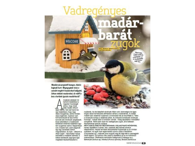 Vadregényes madárbarát zugok - Gerendaházak Magazin