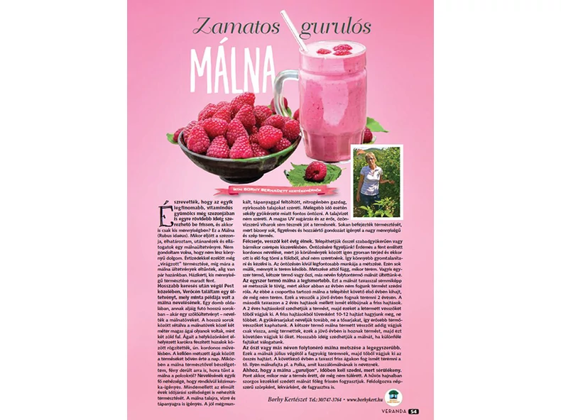 Zamatos gurulós málna - Veranda Magazin