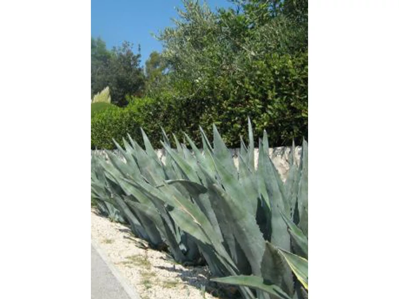 Mediterrán hangulat a kofferban - Veranda Magazin