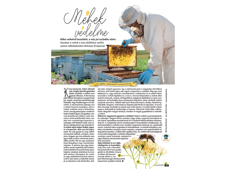 A méhek védelme - Veranda Magazin