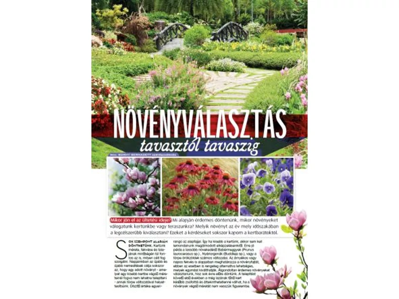 Növényválasztás tavasztól tavaszig - Veranda Magazin