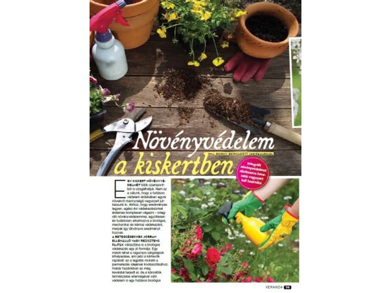 A lemosó permezetéssel kezdve - Veranda Magazin