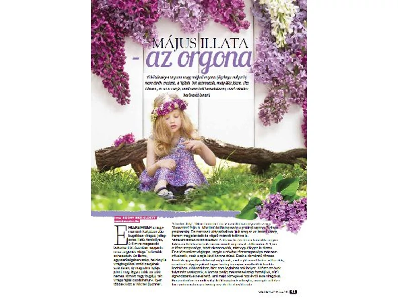 Május illata - az Orgona - Gerendaházak Magazin