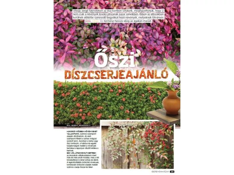 Őszi kertben sétálva - Gerendaházak Magazin