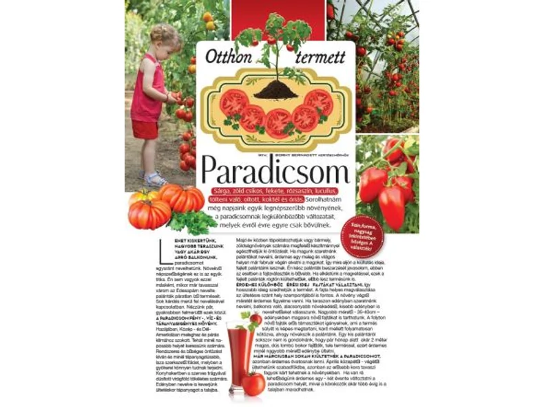 Otthon termett Paradicsom - Veranda Magazin