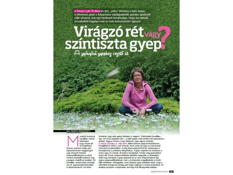 Virágzó rét vagy színtiszta gyep? - Gerendaházak Magazin