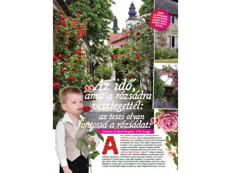 „Az idő, amit a rózsádra vesztegettél: az teszi olyan fontossá a rózsádat.” Antoine de Saint-Exupéry: A kis herceg - Veranda Magazin