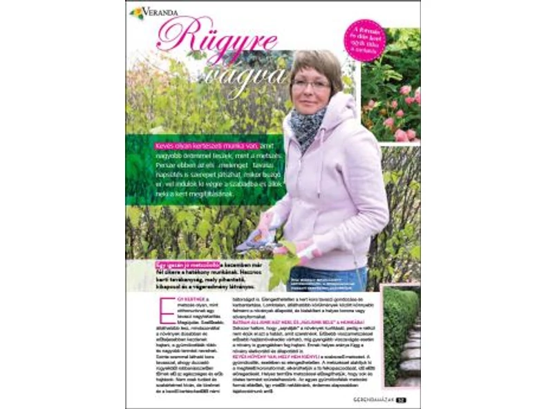 Rügyre vágva - Gerendaházak Magazin