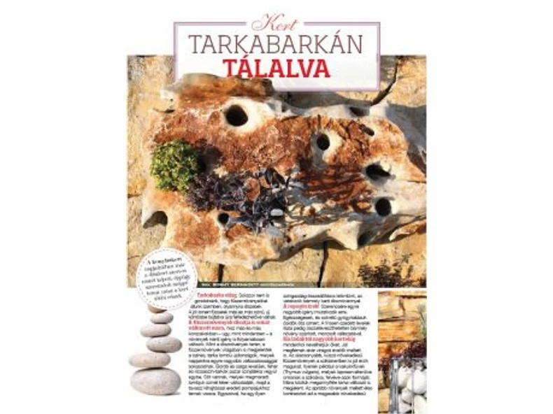 Tarkabarkán tálalva - Gerendaházak Magazin