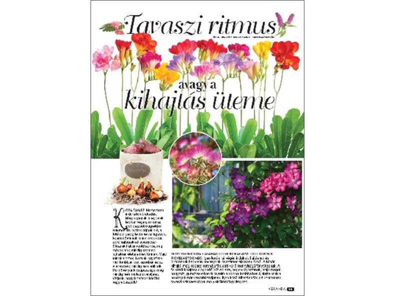 Tavaszi ritmus avagy a kihajtás üteme - Veranda Magazin