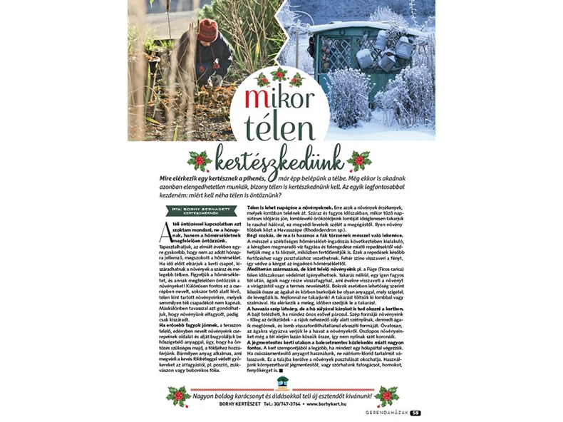 Mikor télen kertészkedünk - Gerendaházak Magazin
