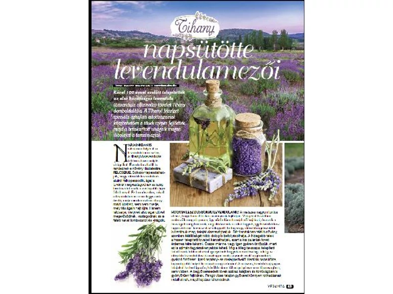 Tihany napsütötte levendulamezői - Veranda Magazin