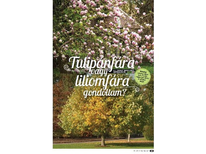 Tulipánfára vagy Liliomfára gondoltam? - Gerendaházak Magazin