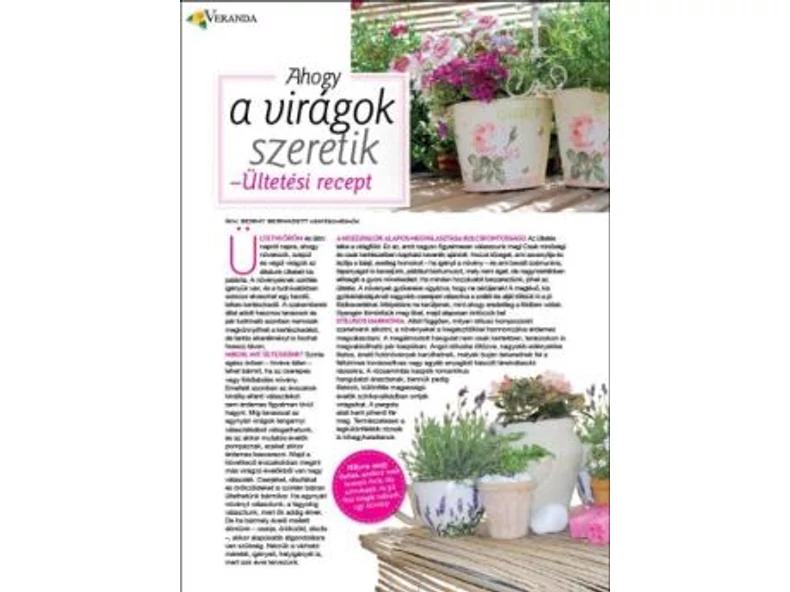 Ahogy a virágok szeretik "ültetési recept" - Veranda Magazin