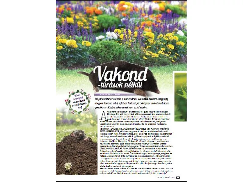 Vakondtúrások nélkül - Gerendaházak Magazin