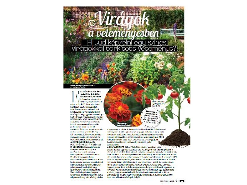 Virágok a veteményesben - Gerendaházak Magazin