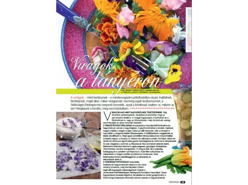 Virágok a tányéron - Veranda Magazin