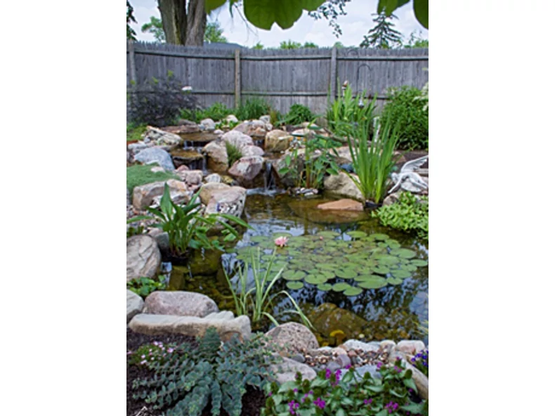 Vízivilág - Veranda Magazin