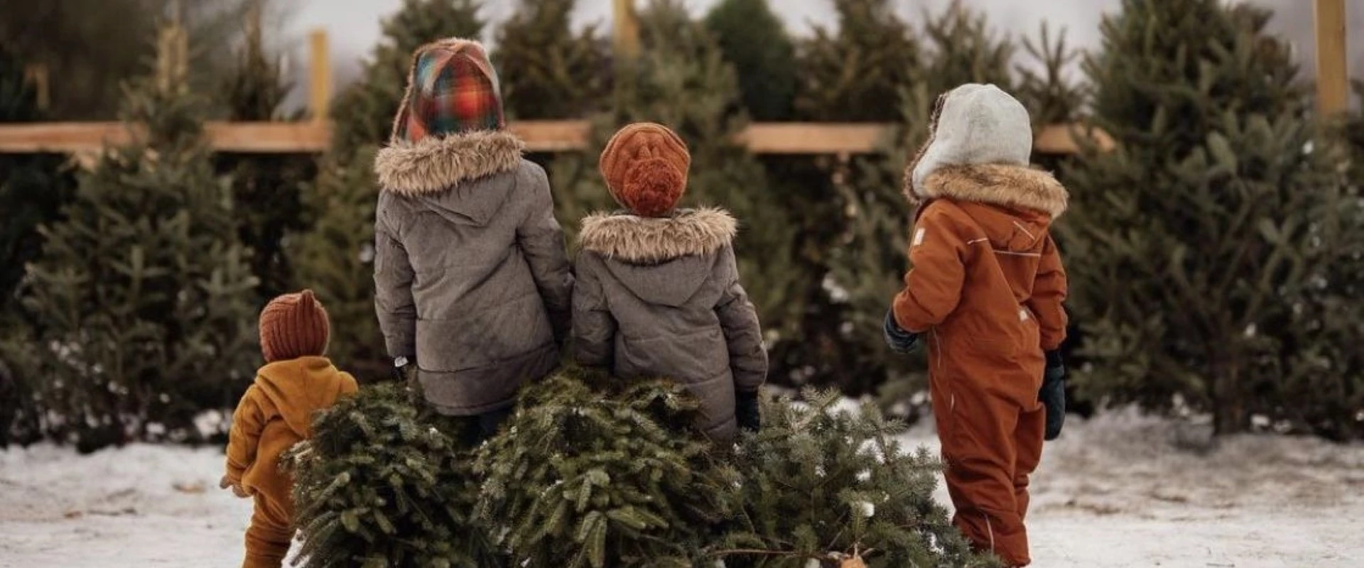 Január 22.-től  március 1.-ig,  minden héten csütörtök, péntek, szombaton várunk.